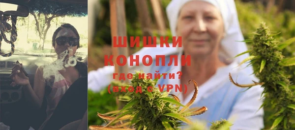 стаф Осинники