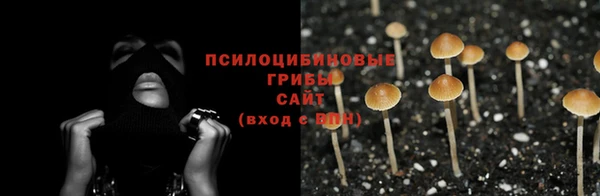 скорость Алзамай