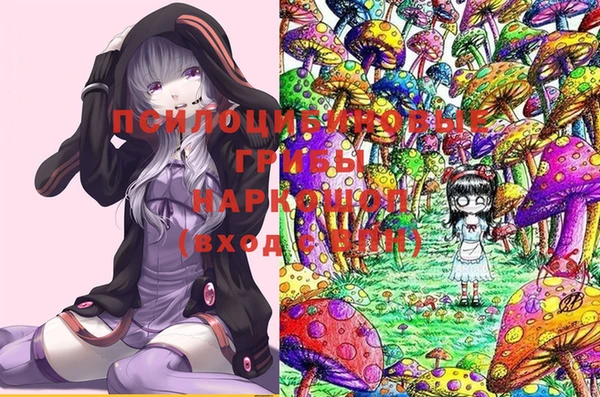 мяу мяу мука Алексин