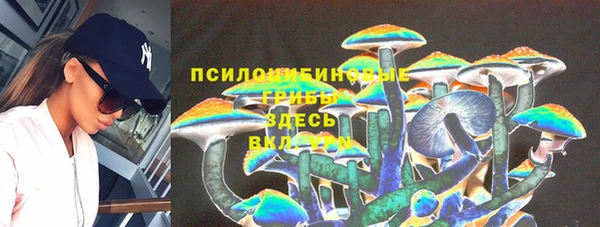 скорость Алзамай