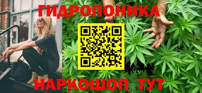 ешки Абакан
