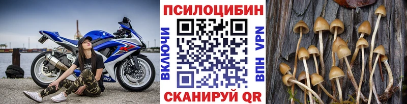 Галлюциногенные грибы прущие грибы что такое KRAKEN как зайти Анжеро-Судженск