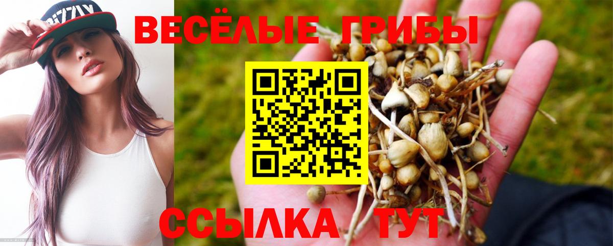 Галлюциногенные грибы мухоморы Анжеро-Судженск