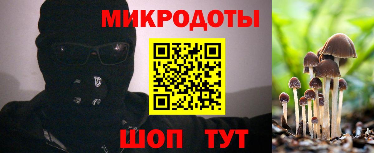 Анжеро-Судженск  Галлюциногенные грибы GOLDEN TEACHER  Вход с VPN  Псилоцибиновые грибы Cubensis 