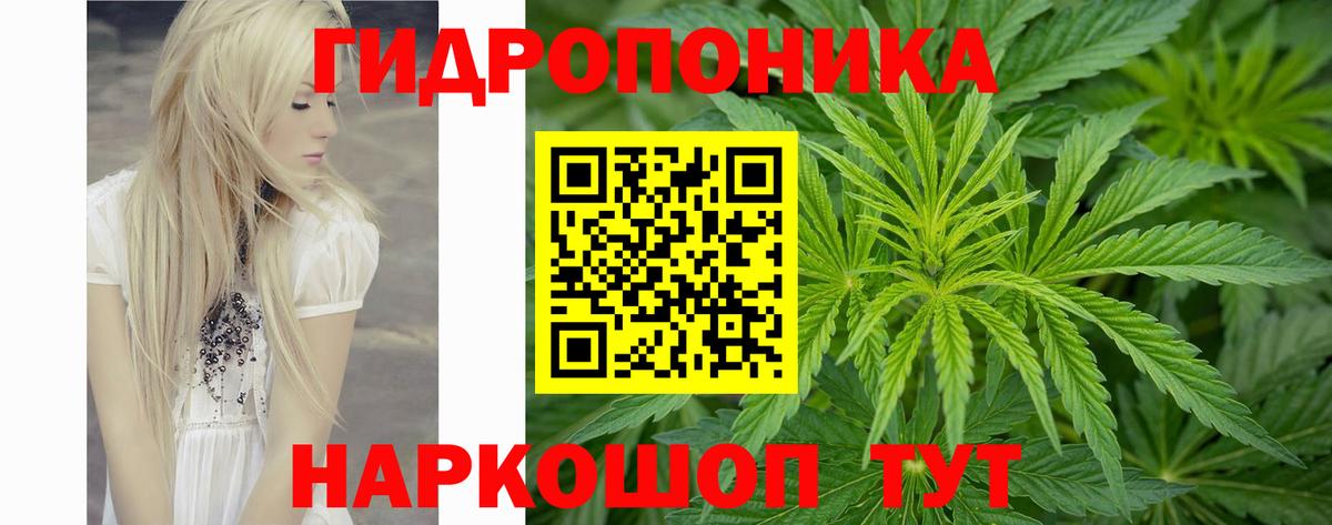 Шишки марихуана VHQ  Вход с VPN  Анжеро-Судженск  Конопля Bruce Banner 